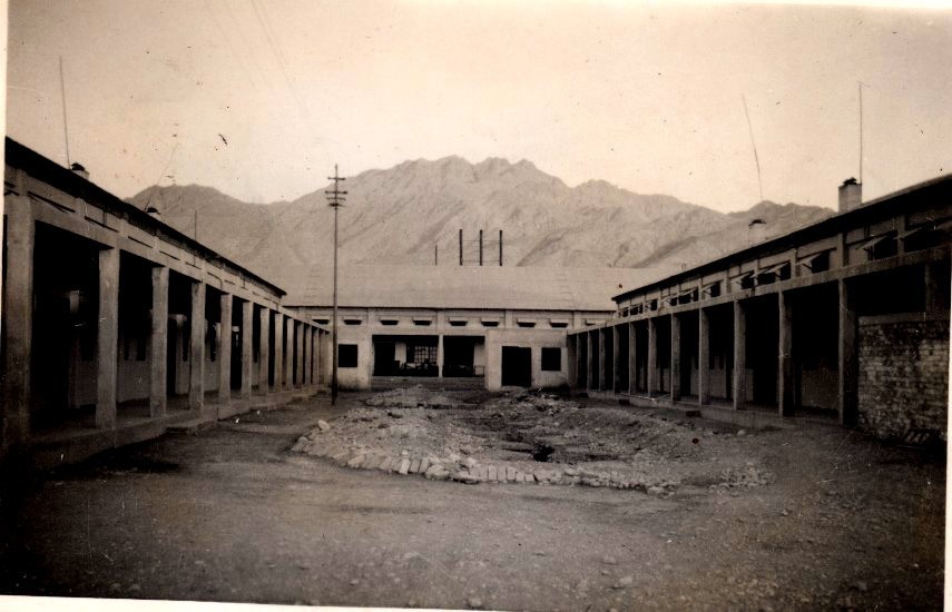 Images/Scan 22.jpg